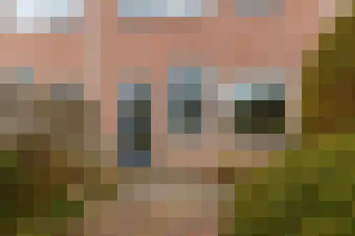 Dinkel 13 Heerhugowaard thumbnail 23