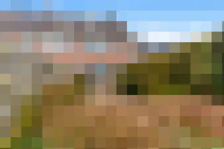 Dinkel 13 Heerhugowaard thumbnail 24