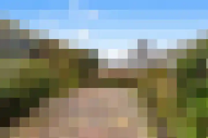 Dinkel 13 Heerhugowaard thumbnail 25
