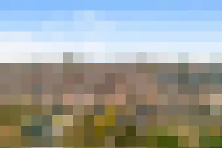 Dinkel 13 Heerhugowaard thumbnail 26