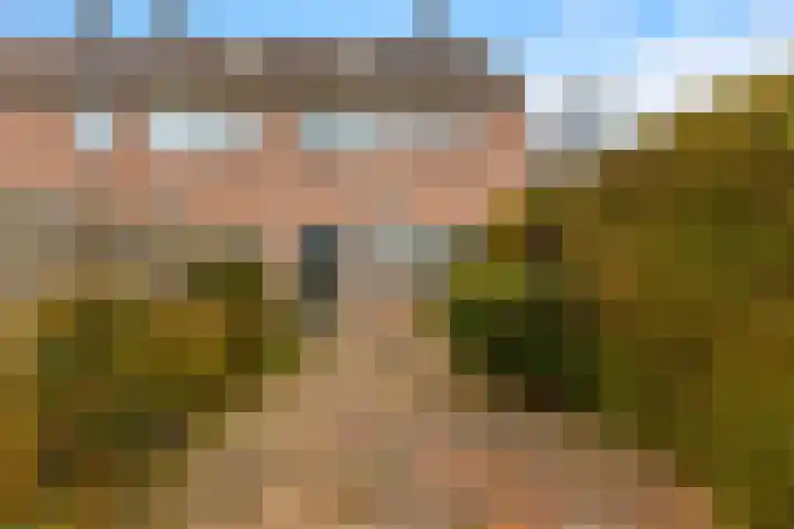Dinkel 13 Heerhugowaard thumbnail 7