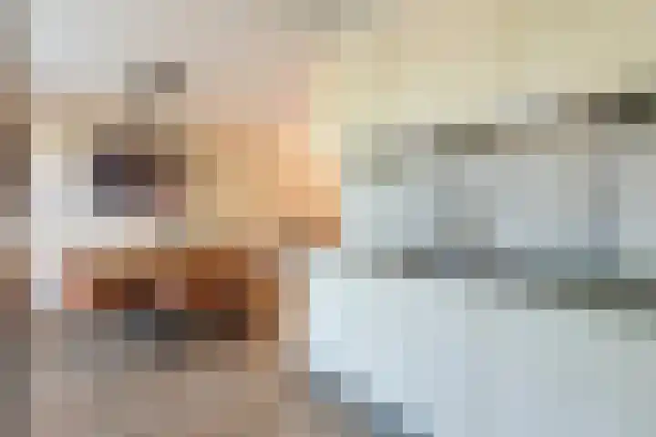 Dinkel 13 Huizen thumbnail 15