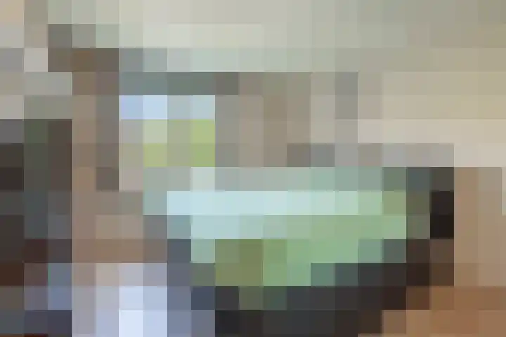 Dinkel 13 Huizen thumbnail 17