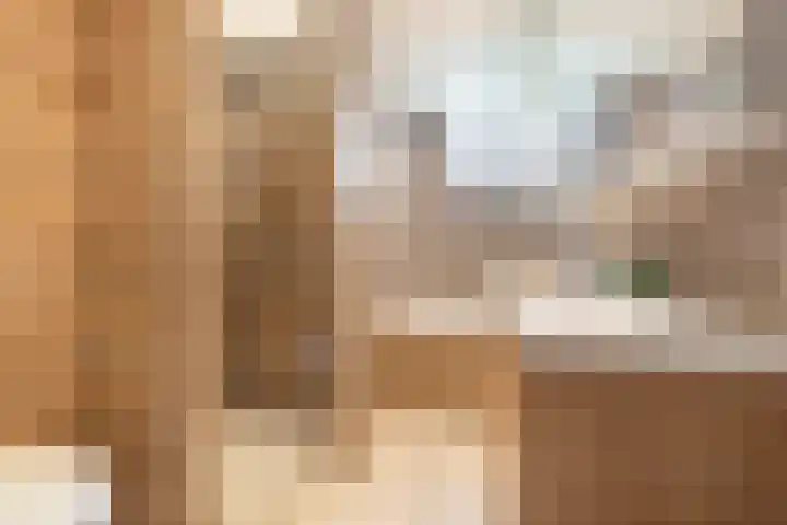 Dinkel 13 Huizen thumbnail 19