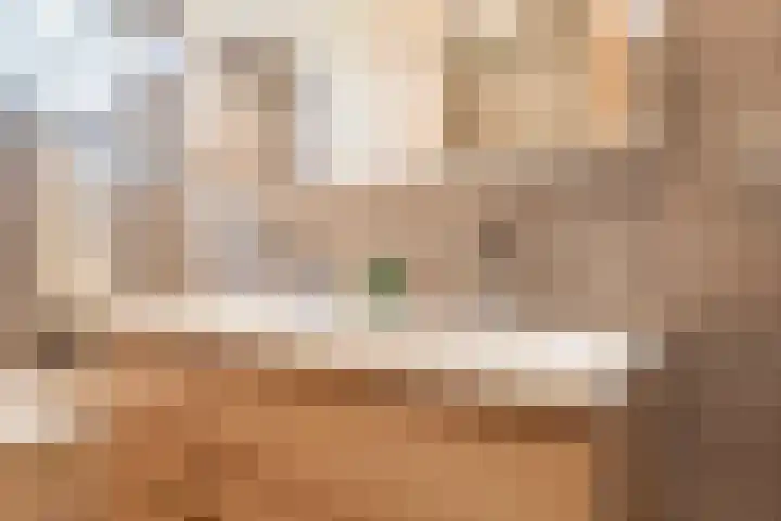 Dinkel 13 Huizen thumbnail 20