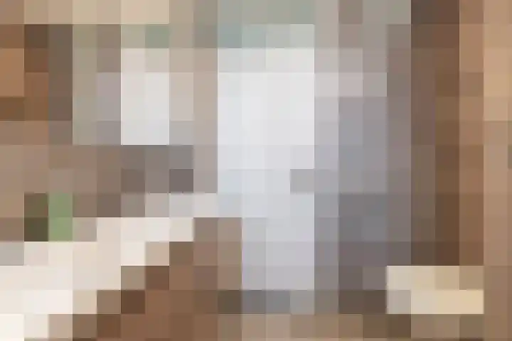 Dinkel 13 Huizen thumbnail 22