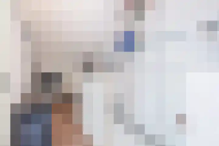 Dinkel 13 Huizen thumbnail 28