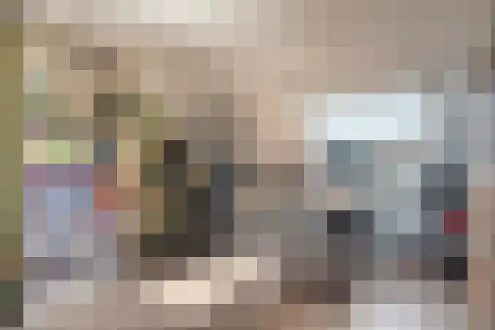 Dinkel 13 Huizen thumbnail 30