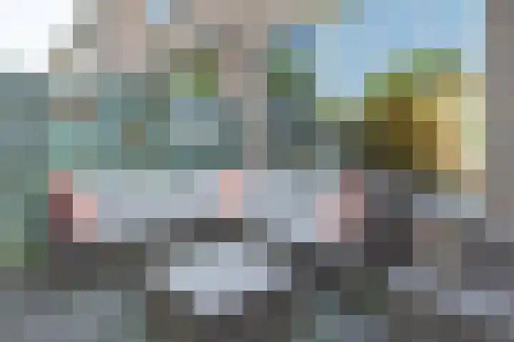 Dinkel 13 Huizen thumbnail 32