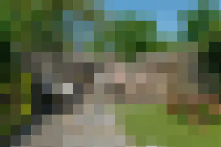 Dinkel 13 Huizen thumbnail 33