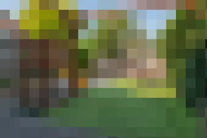 Dinkel 13 Huizen thumbnail 34