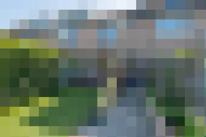Dinkel 13 Huizen thumbnail 35