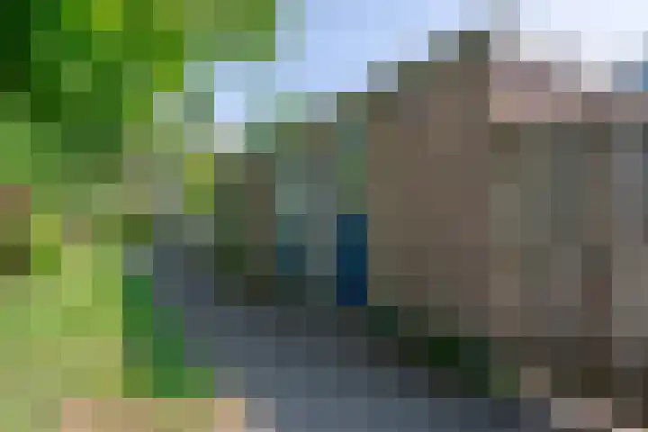 Dinkel 13 Huizen thumbnail 36