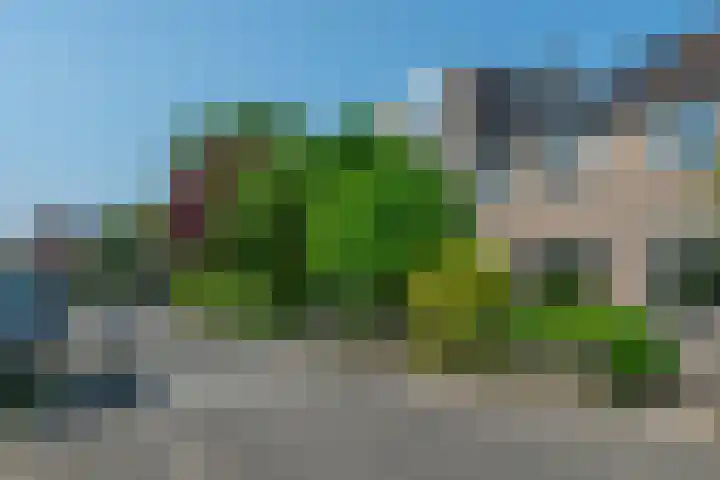 Dinkel 13 Huizen thumbnail 37