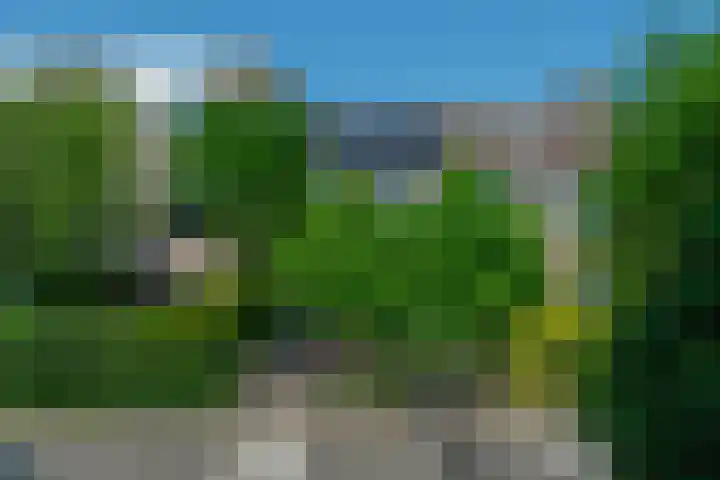 Dinkel 13 Huizen thumbnail 38