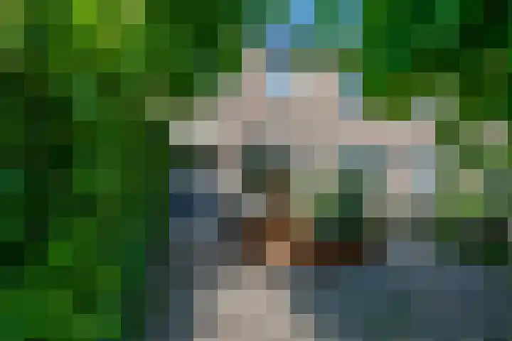 Dinkel 13 Huizen thumbnail 39