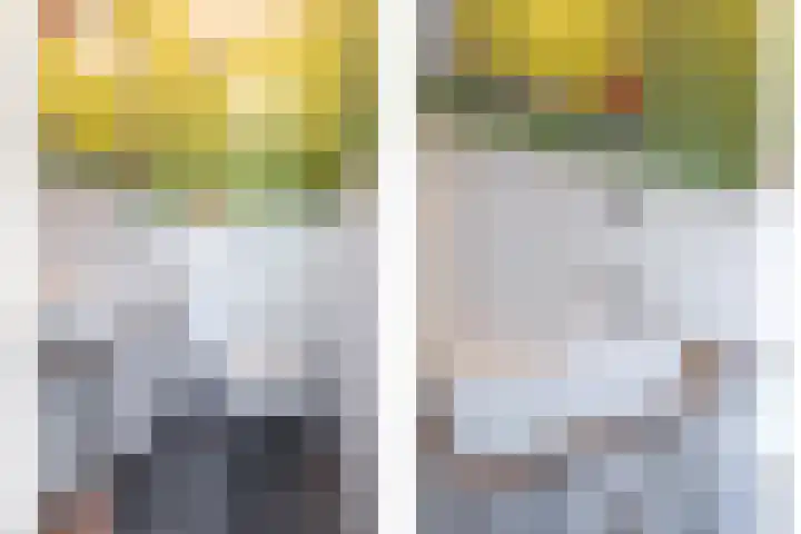 Dinkel 13 Huizen thumbnail 6