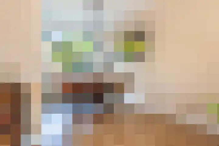 Dinkel 13 Huizen thumbnail 9