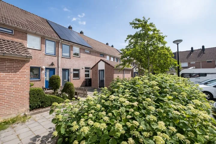 Dinkel 15 Heerhugowaard thumbnail 32