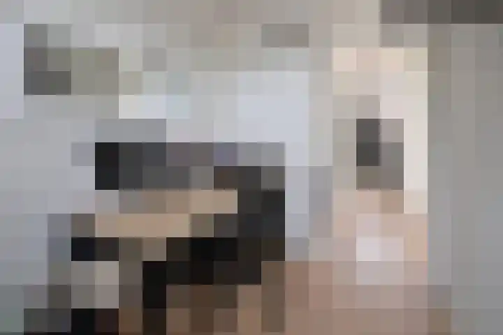 Dinkel 23 Huizen thumbnail 11