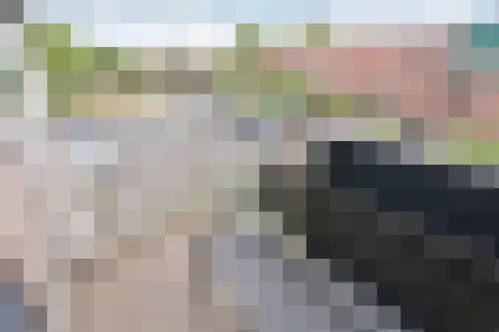 Dinkel 23 Huizen thumbnail 7
