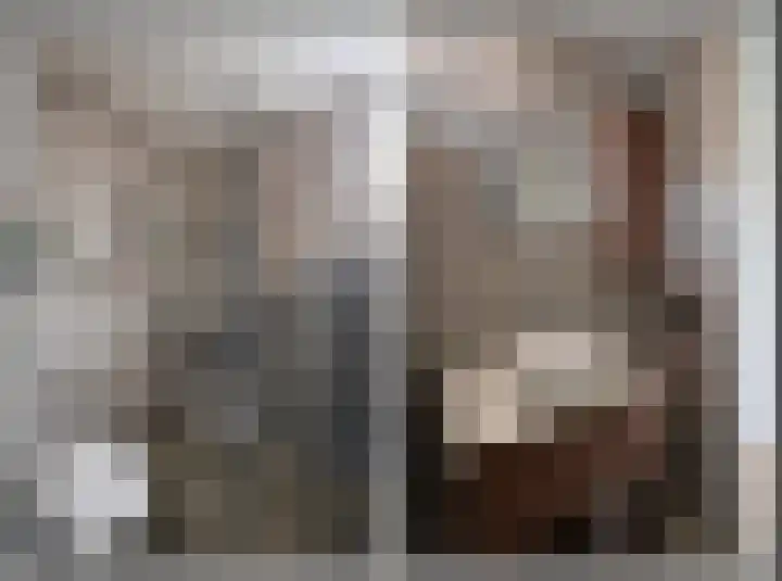 Dinkel 23 Huizen thumbnail 9