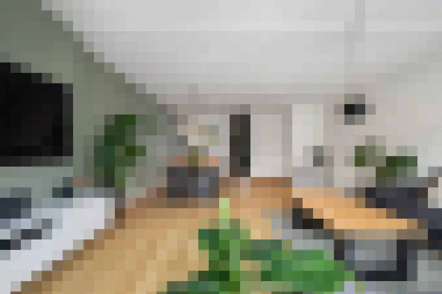 Dinkel 40 Nieuwerkerk aan den IJssel thumbnail 10