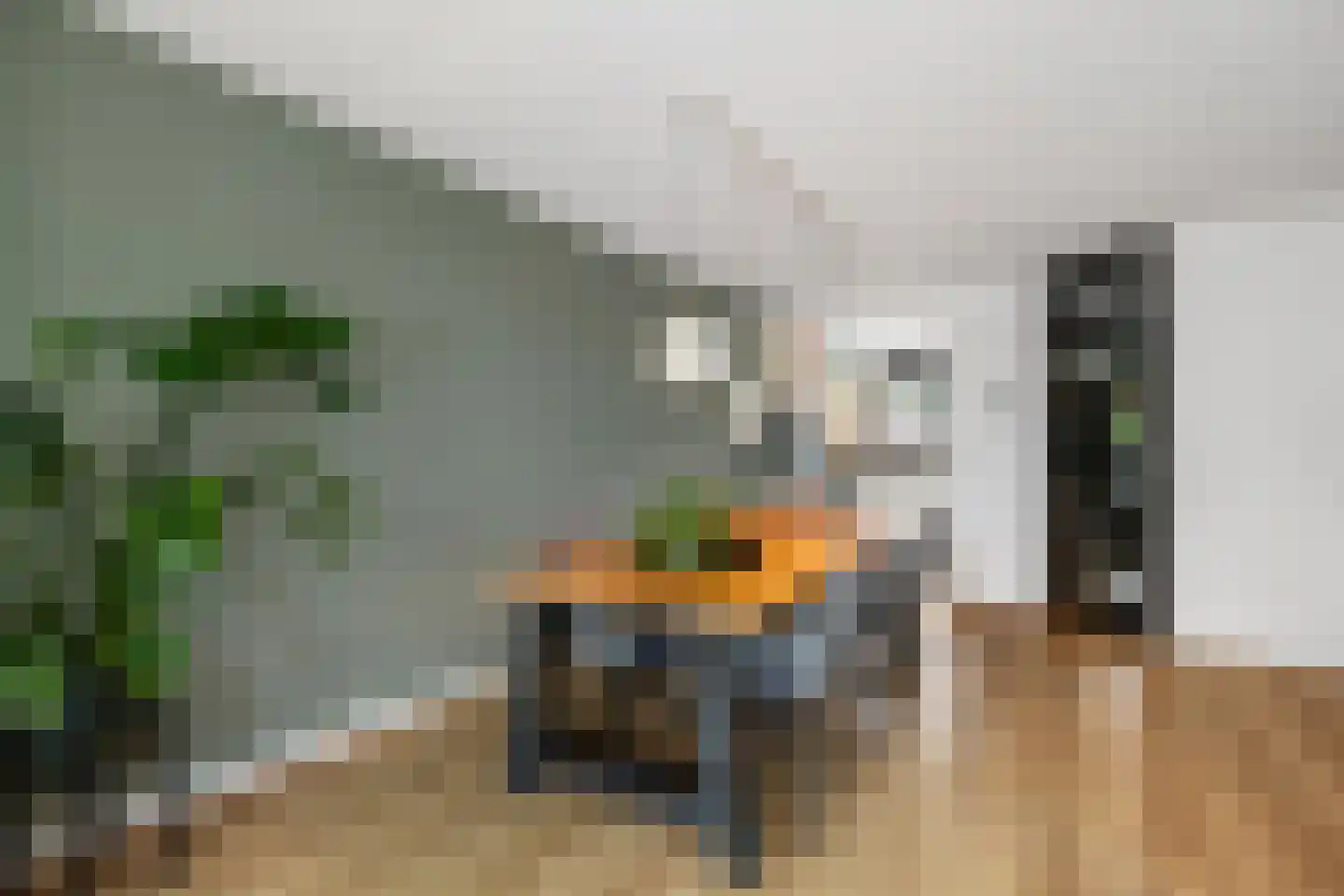 Dinkel 40 Nieuwerkerk aan den IJssel thumbnail 11