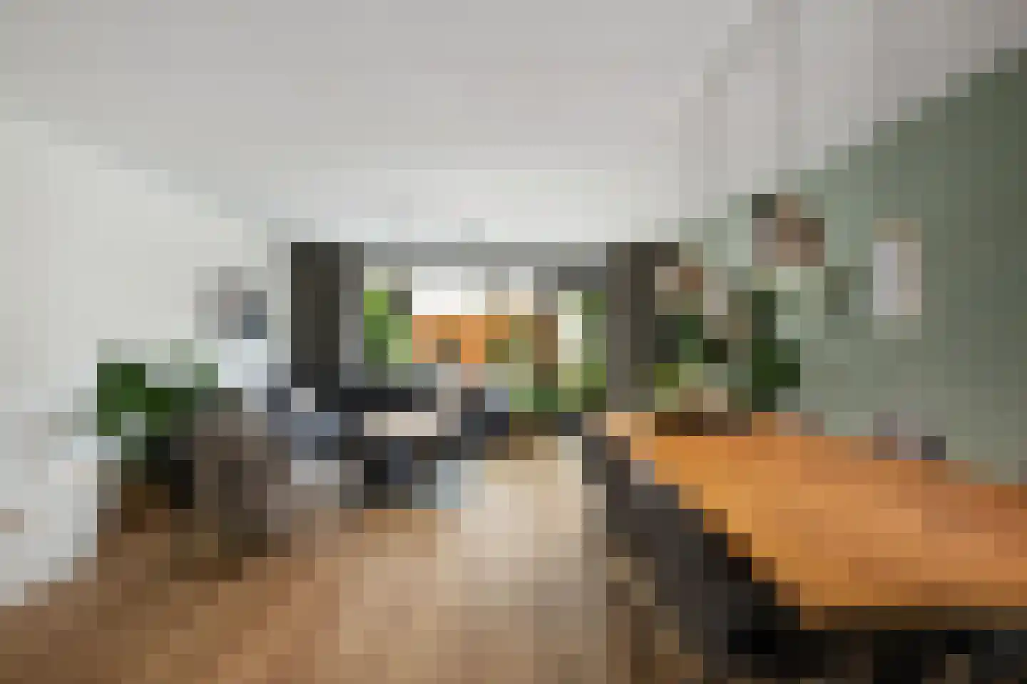 Dinkel 40 Nieuwerkerk aan den IJssel thumbnail 12