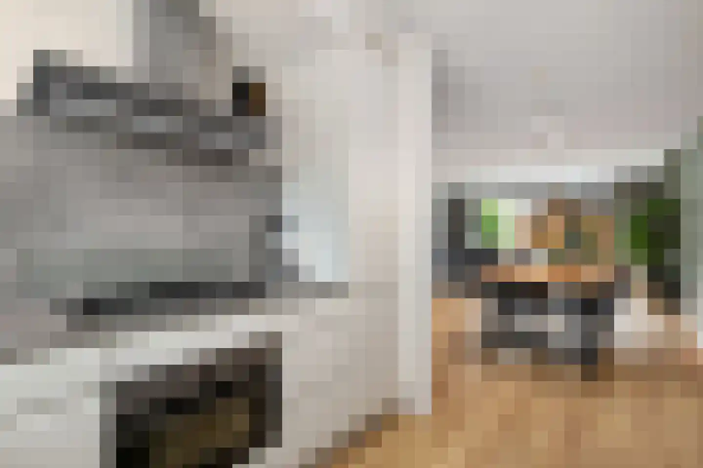 Dinkel 40 Nieuwerkerk aan den IJssel thumbnail 13