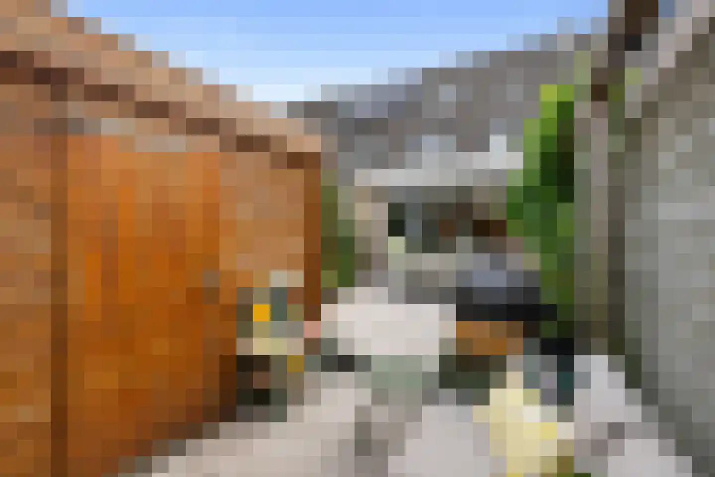 Dinkel 40 Nieuwerkerk aan den IJssel thumbnail 25