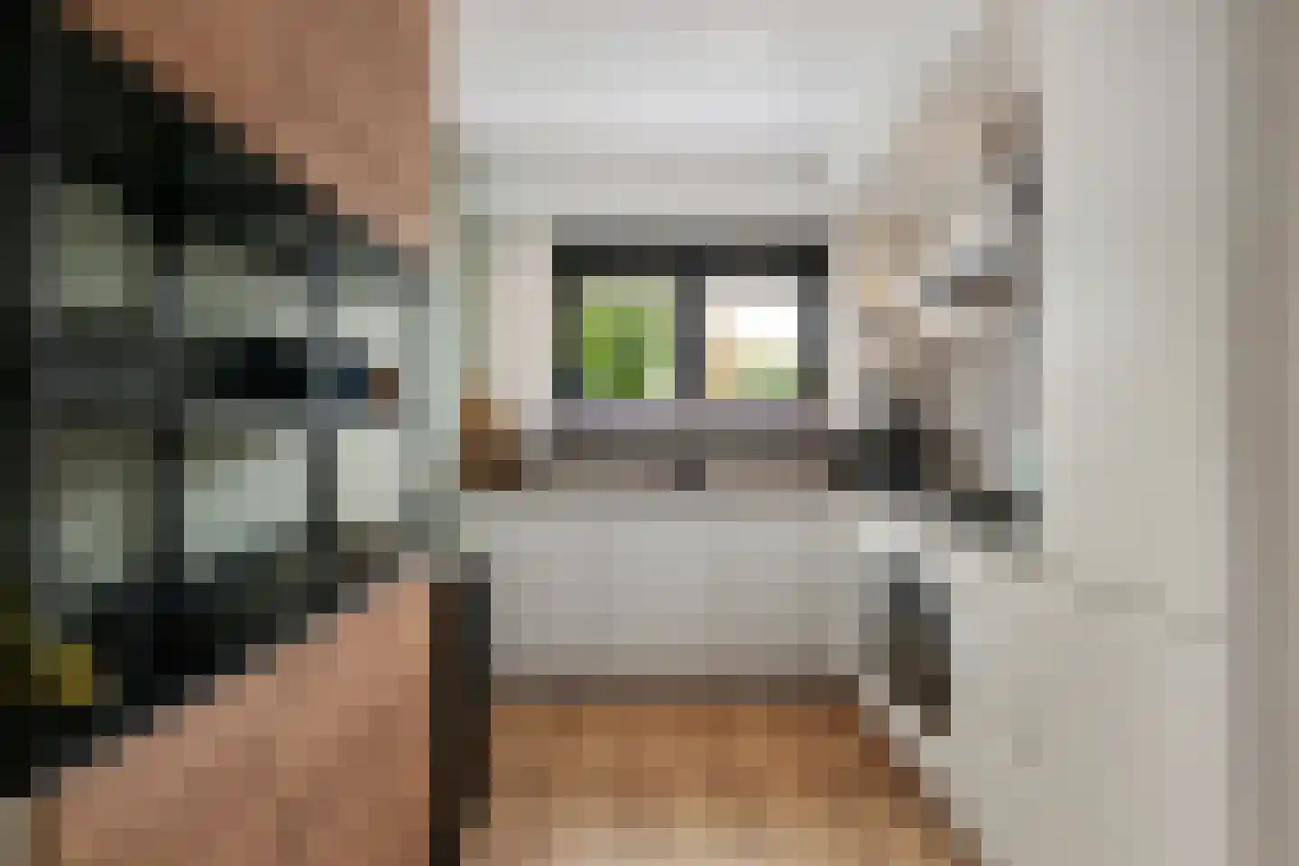 Dinkel 40 Nieuwerkerk aan den IJssel thumbnail 4