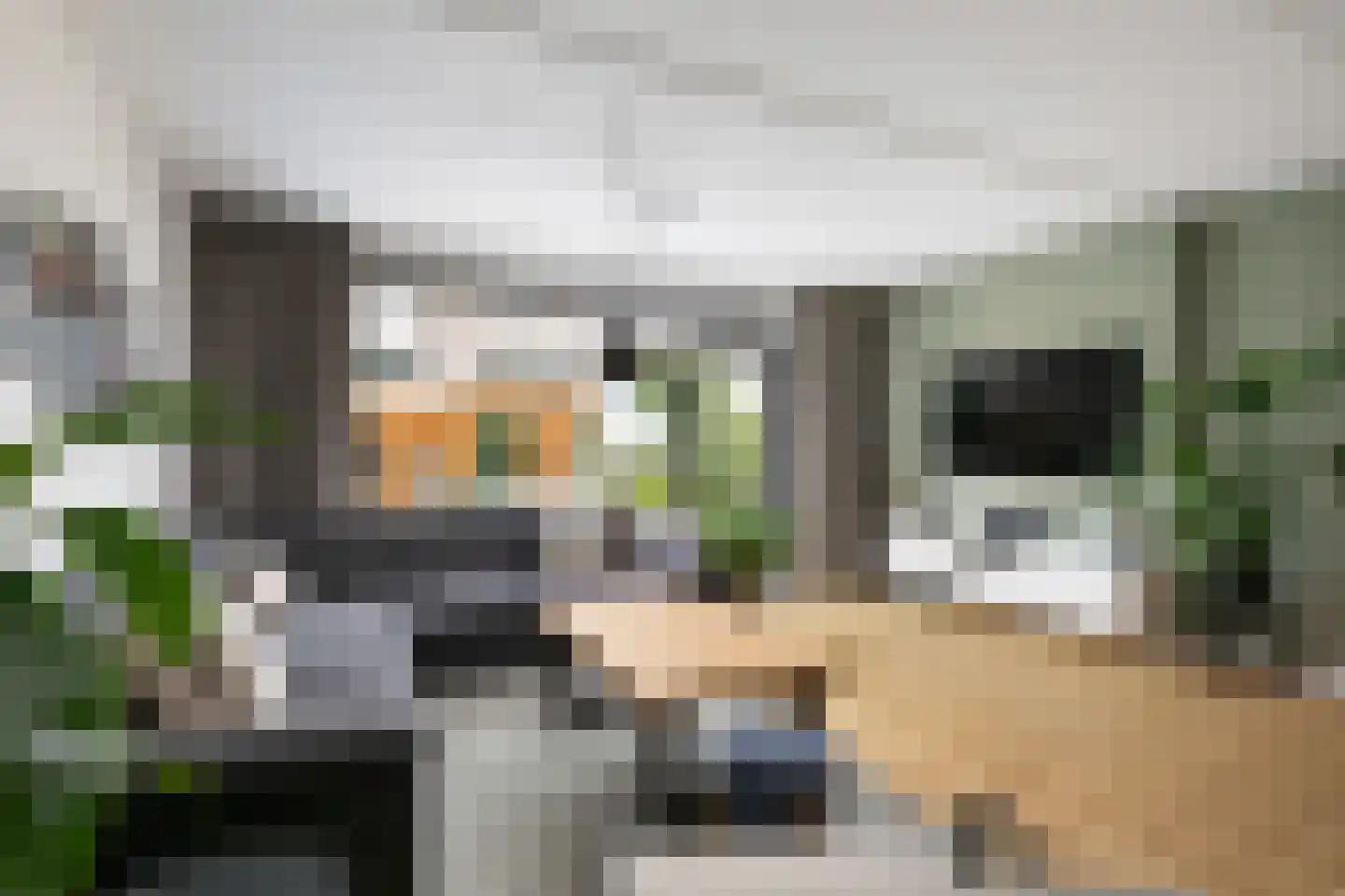 Dinkel 40 Nieuwerkerk aan den IJssel thumbnail 7