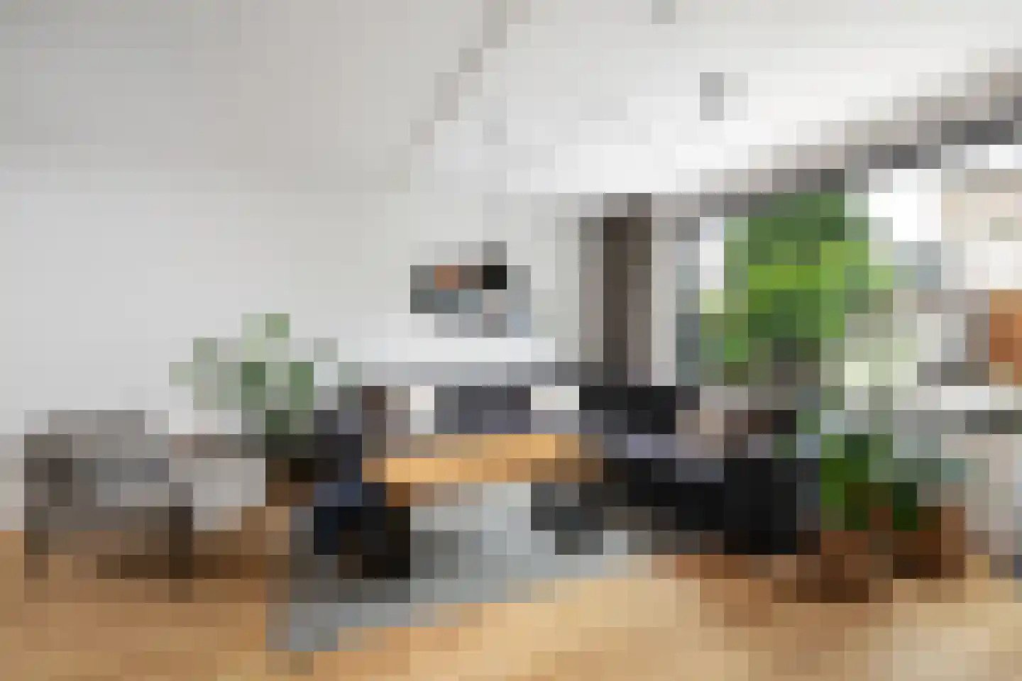 Dinkel 40 Nieuwerkerk aan den IJssel thumbnail 8