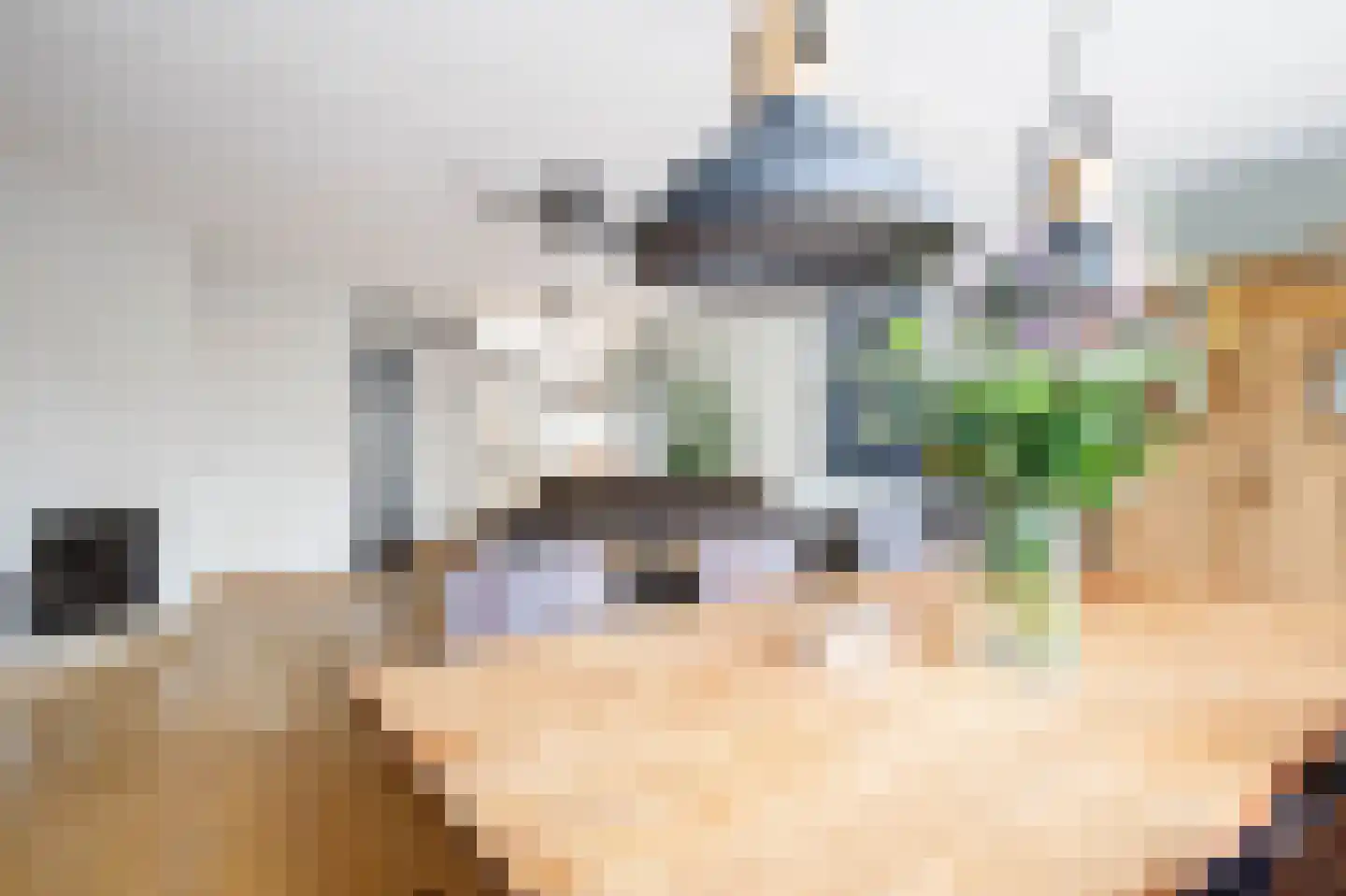 Dinkel 42 Nieuwerkerk aan den IJssel thumbnail 17