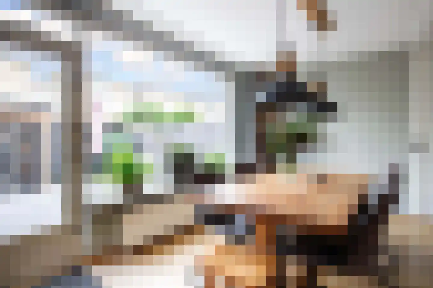 Dinkel 42 Nieuwerkerk aan den IJssel thumbnail 18
