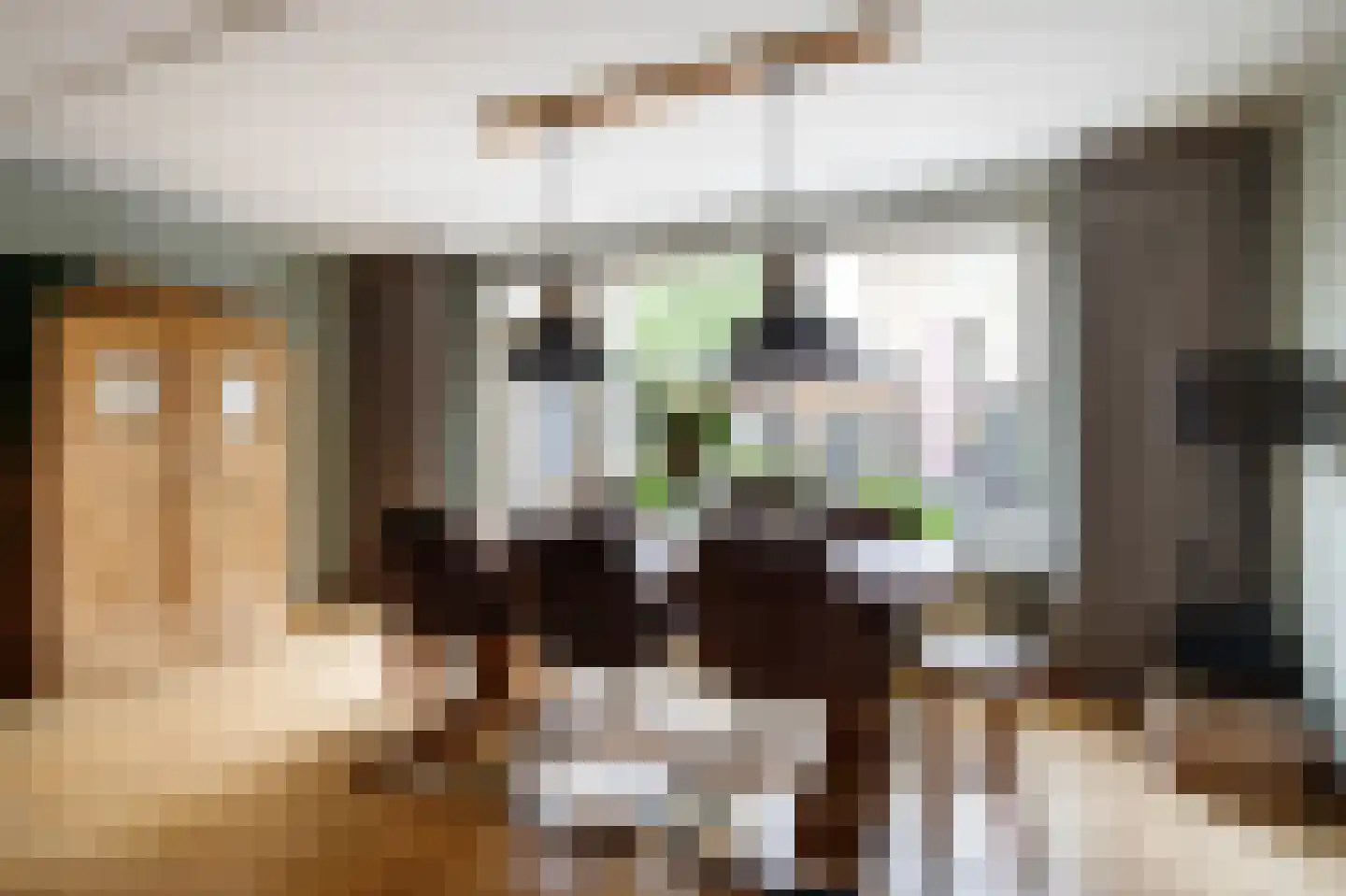 Dinkel 42 Nieuwerkerk aan den IJssel thumbnail 19