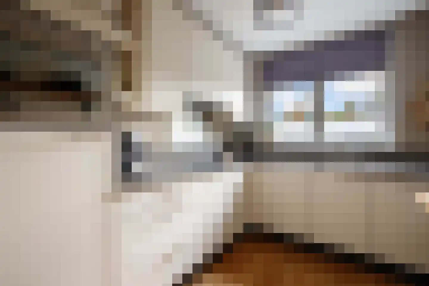 Dinkel 42 Nieuwerkerk aan den IJssel thumbnail 20
