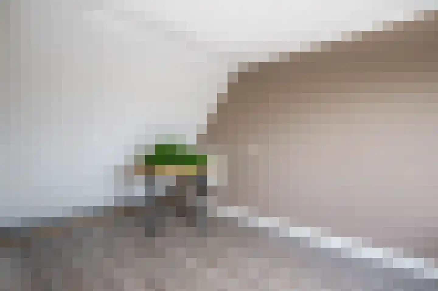 Dinkel 42 Nieuwerkerk aan den IJssel thumbnail 31