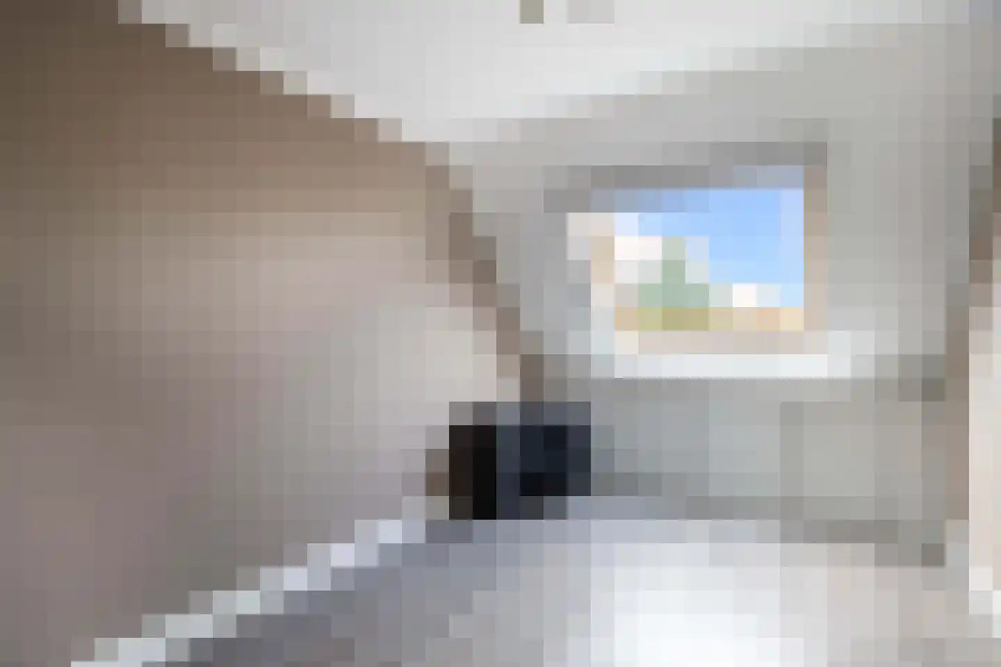 Dinkel 42 Nieuwerkerk aan den IJssel thumbnail 32