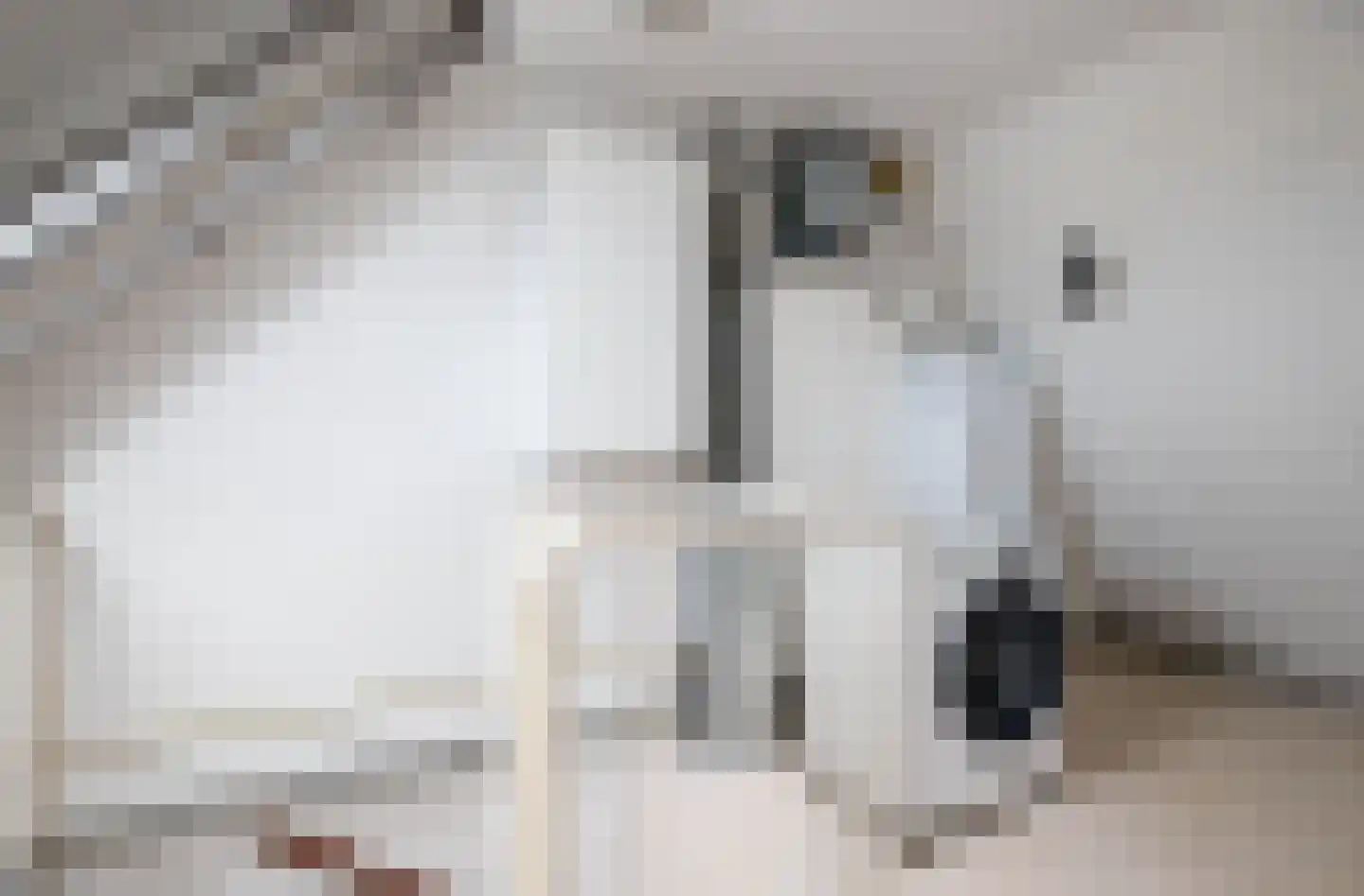 Dinkel 42 Nieuwerkerk aan den IJssel thumbnail 33