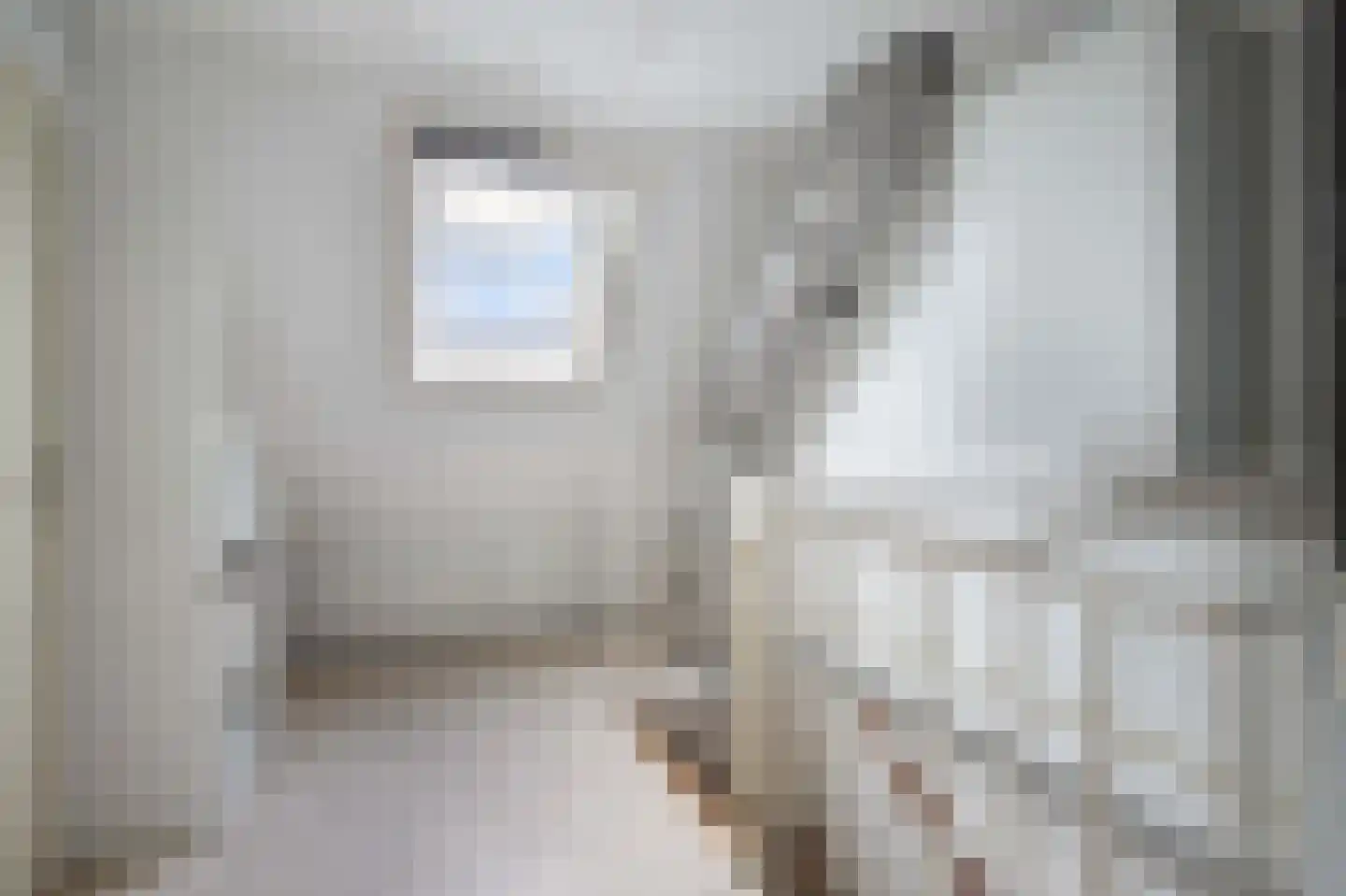 Dinkel 42 Nieuwerkerk aan den IJssel thumbnail 34