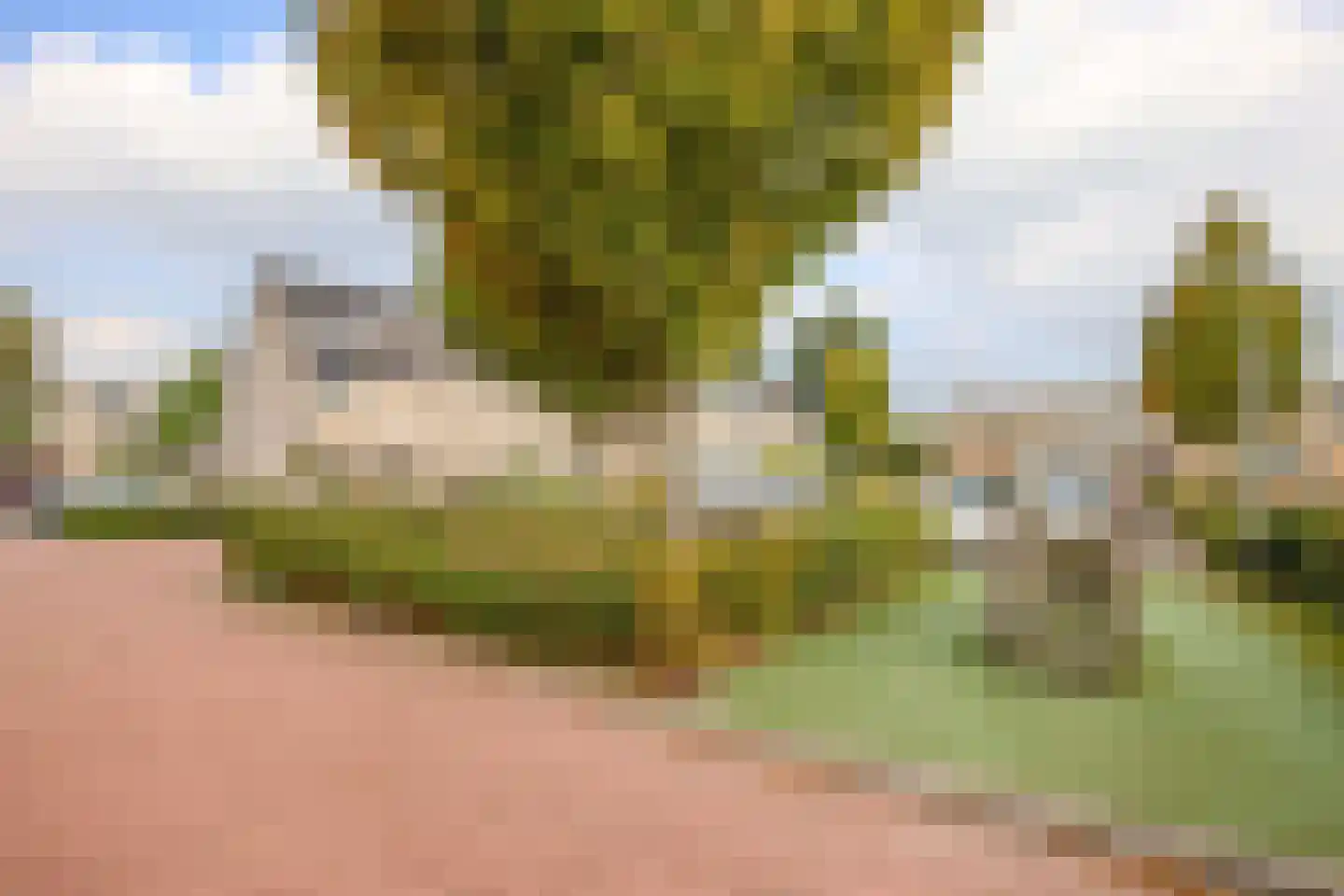 Dinkel 42 Nieuwerkerk aan den IJssel thumbnail 45