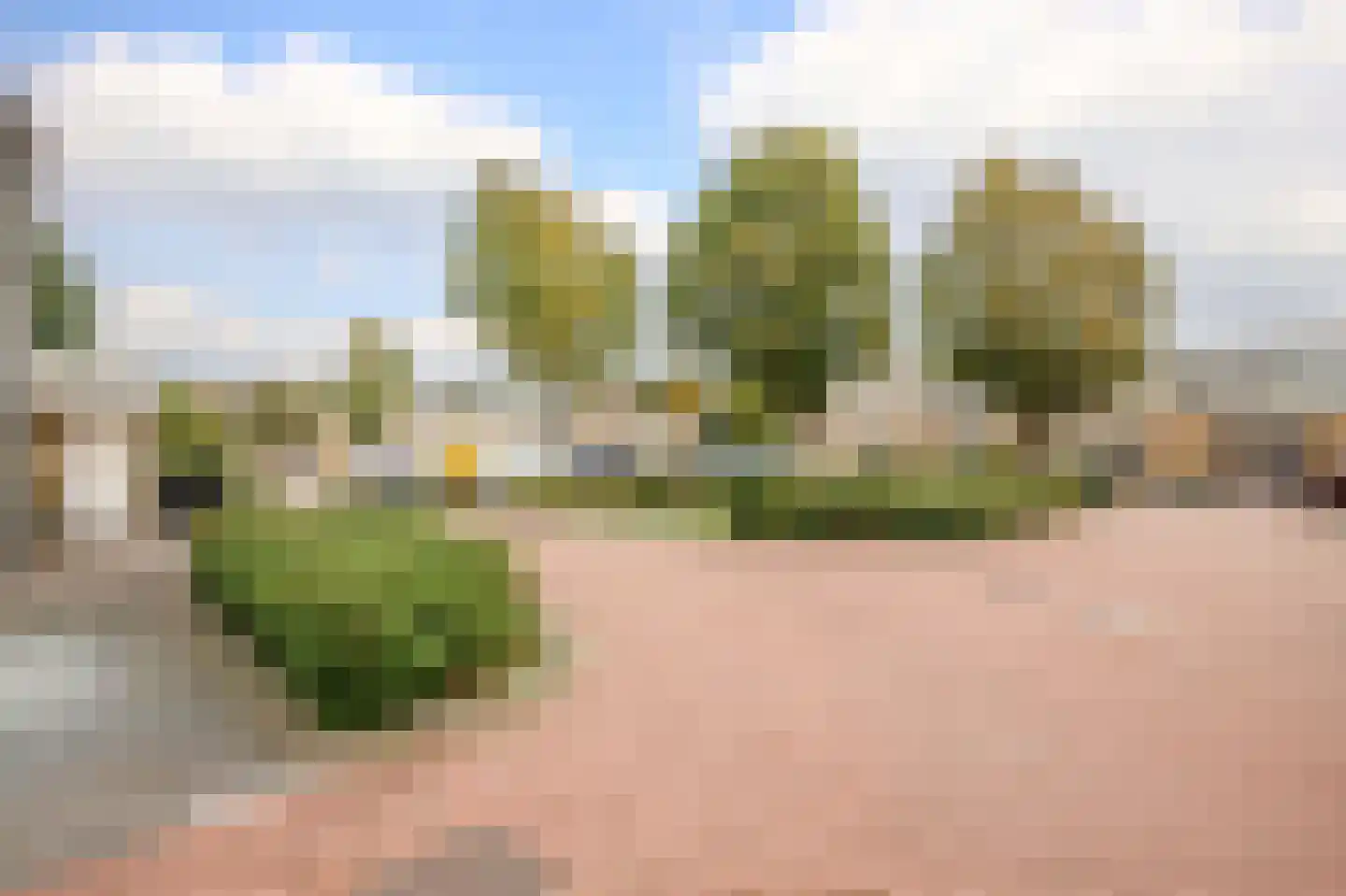 Dinkel 42 Nieuwerkerk aan den IJssel thumbnail 47