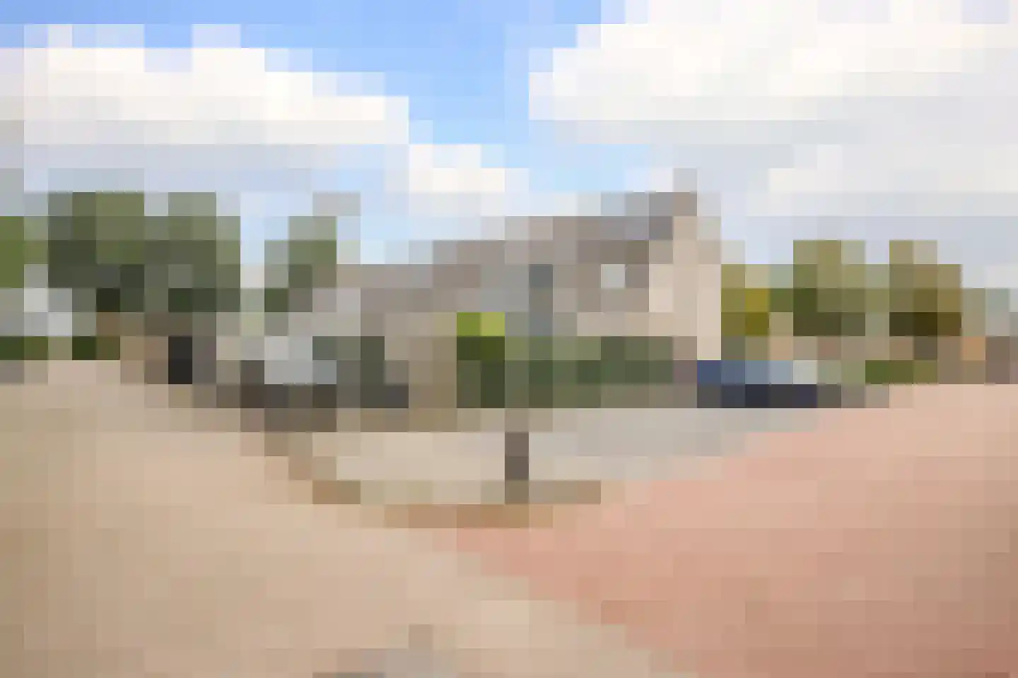 Dinkel 42 Nieuwerkerk aan den IJssel thumbnail 48
