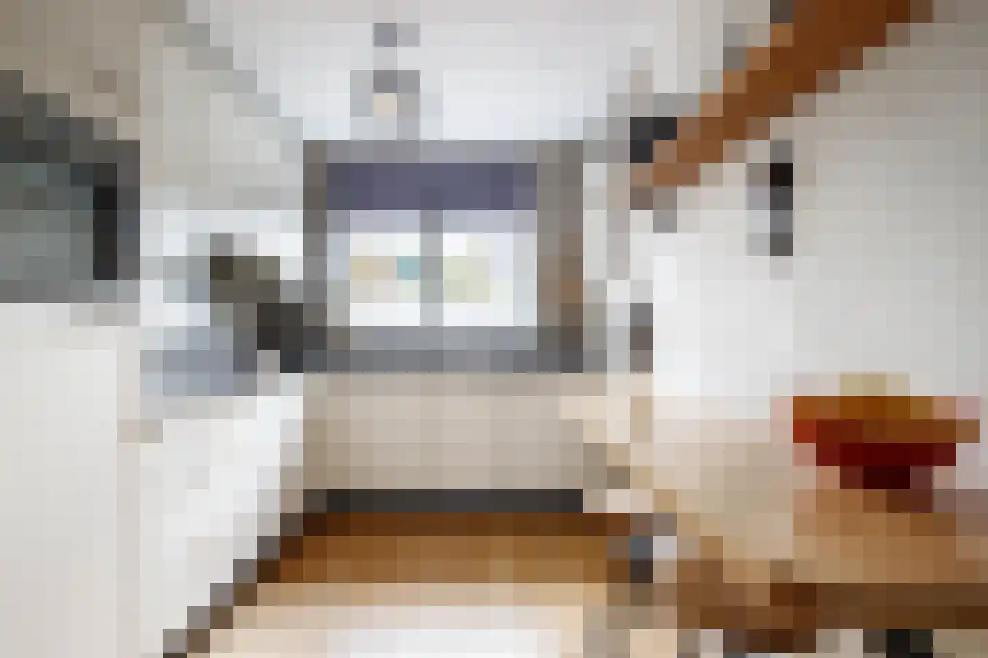 Dinkel 42 Nieuwerkerk aan den IJssel thumbnail 5