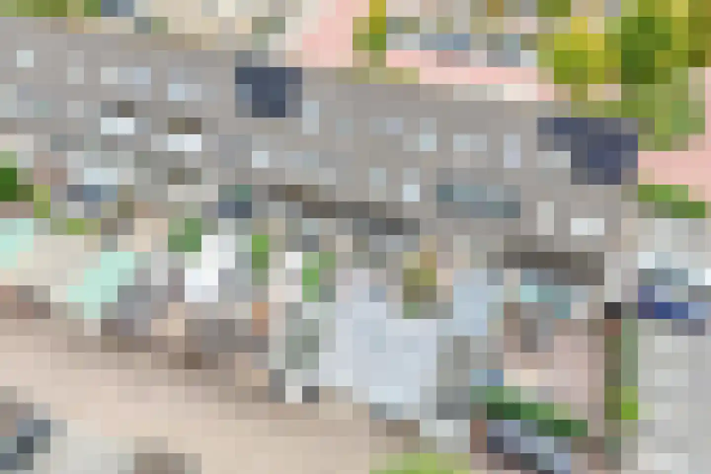 Dinkel 42 Nieuwerkerk aan den IJssel thumbnail 50