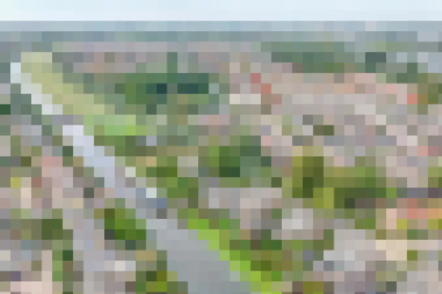 Dinkel 42 Nieuwerkerk aan den IJssel thumbnail 52