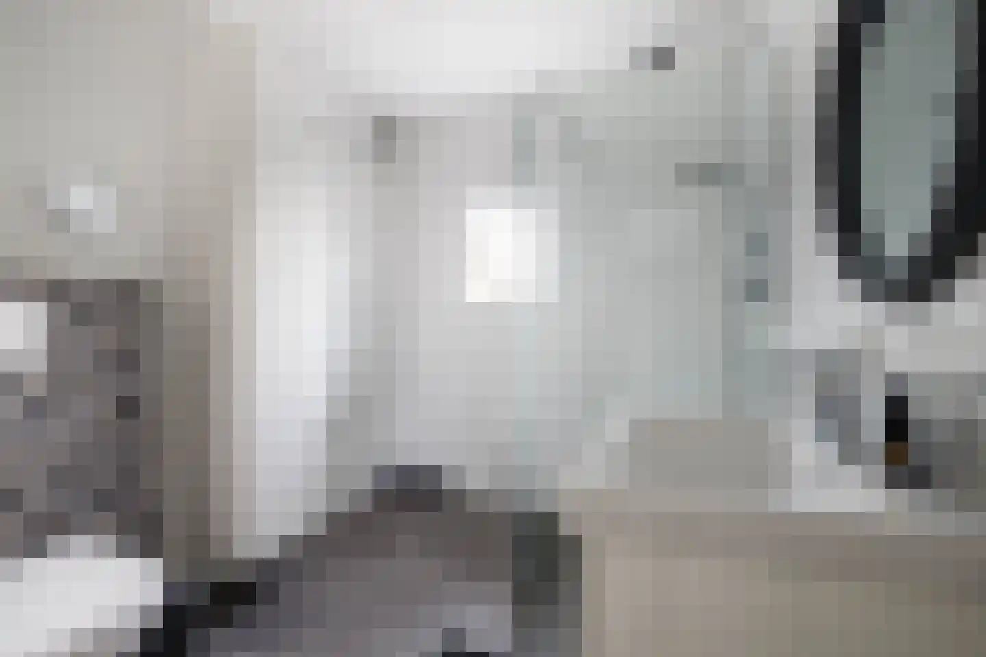 Dinkel 42 Nieuwerkerk aan den IJssel thumbnail 6