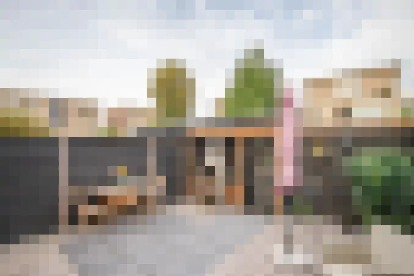 Dinkel 42 Nieuwerkerk aan den IJssel thumbnail 7